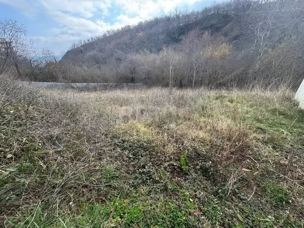 Участок в Крым, Алушта городской округ, с. Лазурное ул. Садовая (8.71 ... - Фото 0