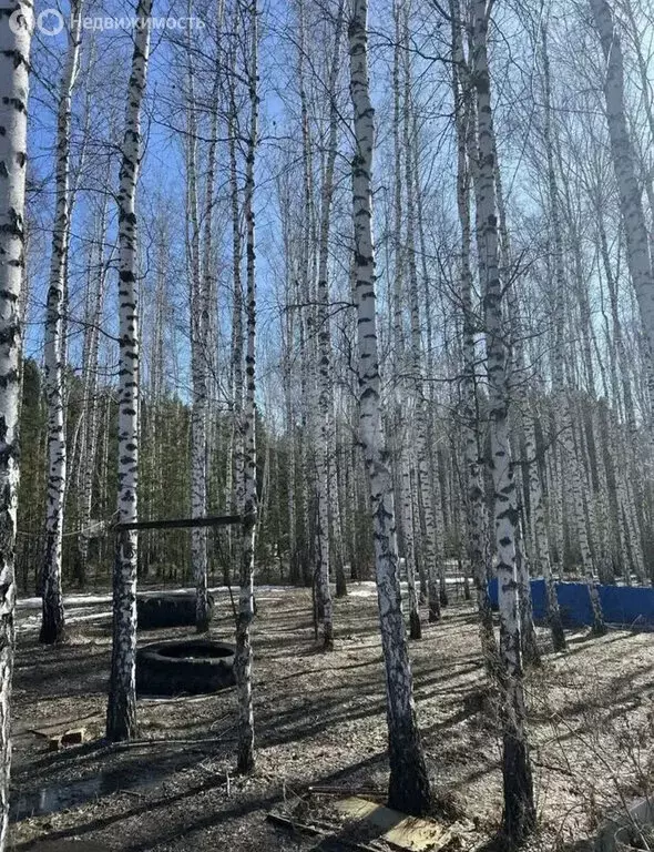 Дом в Курганская область, Кетовский муниципальный округ, СНТ Эталон, ... - Фото 1