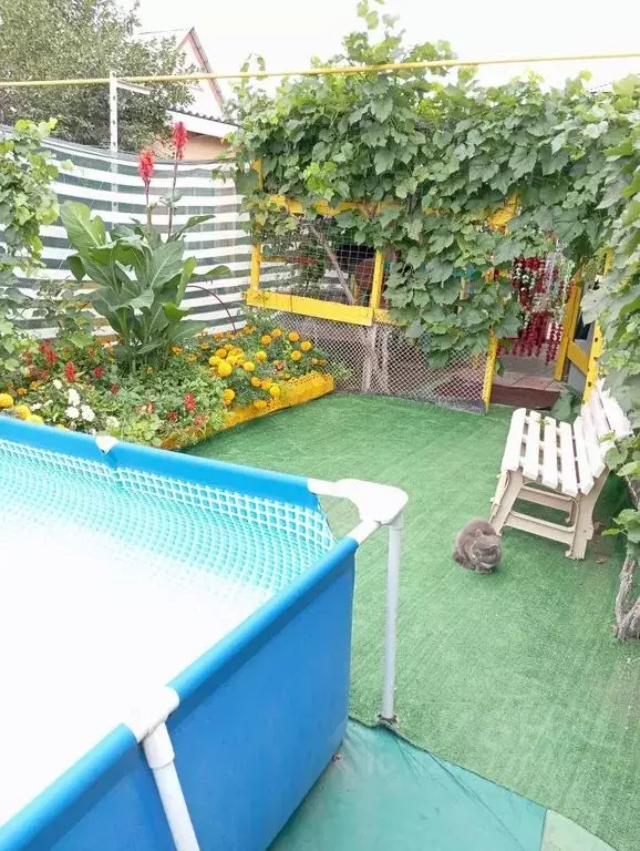 Дом в Оренбургская область, Соль-Илецк Акбулакская ул., 27 (50 м) - Фото 2