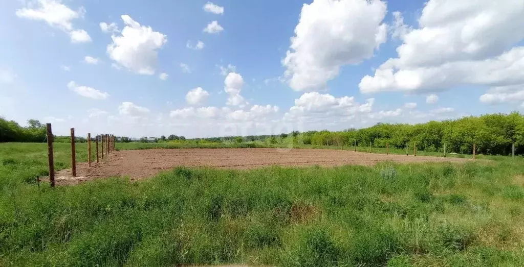 Участок в Владимирская область, Муромский район, Ковардицкое ... - Фото 1