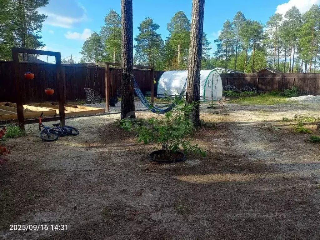 Участок в Ханты-Мансийский АО, Сургут Алтай ДНТ,  (6.0 сот.) - Фото 1