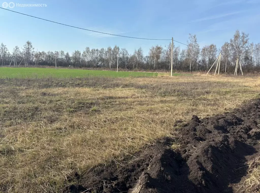 Участок в Липецкая область, Чаплыгинский муниципальный округ, село ... - Фото 1