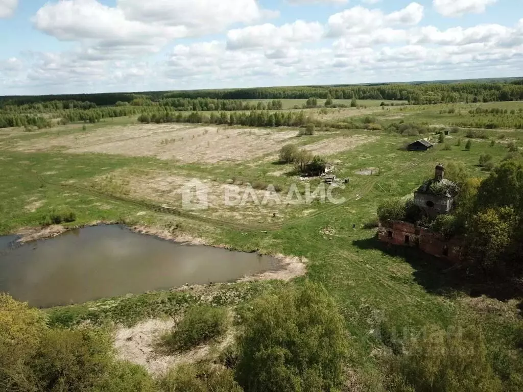Участок в Владимирская область, Суздальский район, Новоалександровское ... - Фото 1