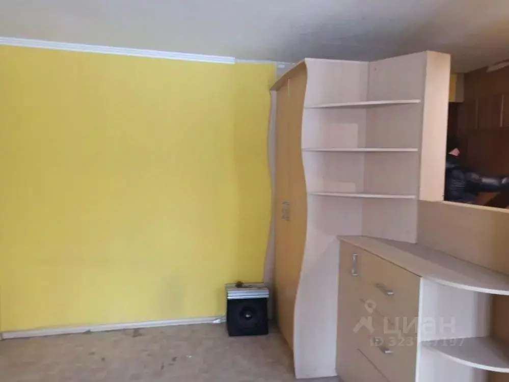 1-к кв. Омская область, Омск ул. Пушкина, 30 (32.5 м) - Фото 0