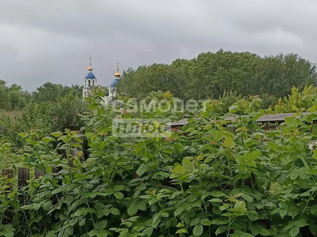 Дом в Свердловская область, Горноуральский городской округ, с. Лая ул. ... - Фото 1