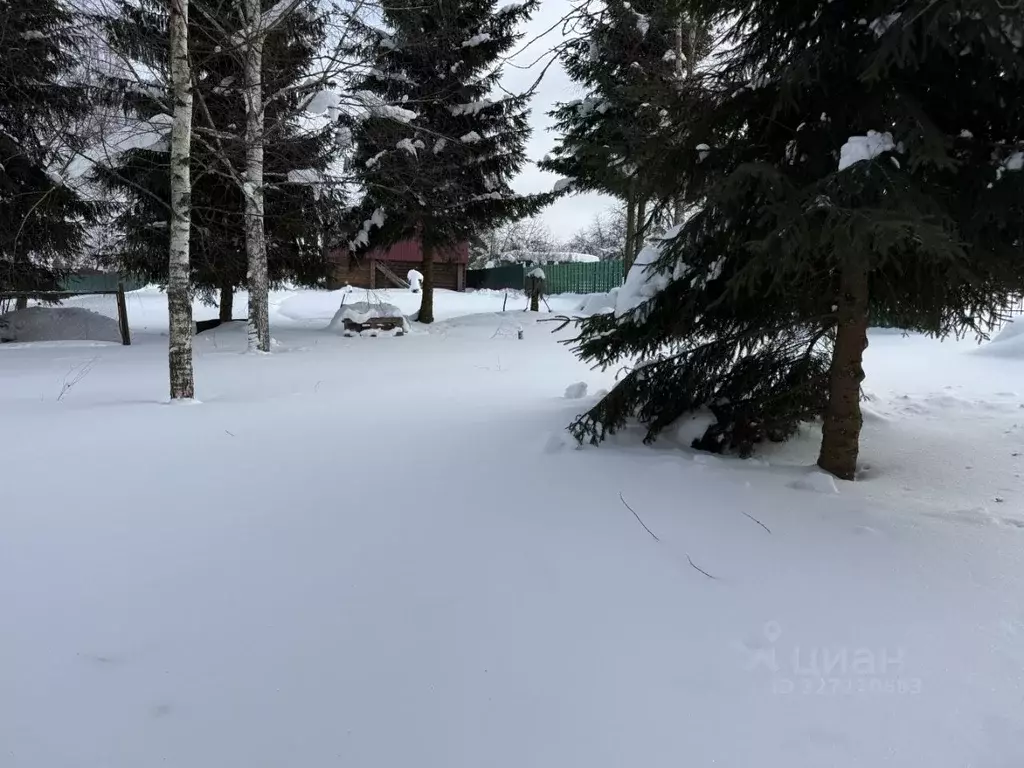 Участок в Московская область, Пушкинский городской округ, д. ... - Фото 2