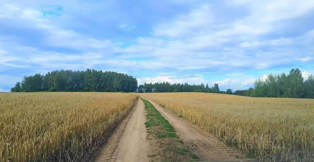 Участок в Псковская область, Псковский район, Писковичская волость, д. ... - Фото 0