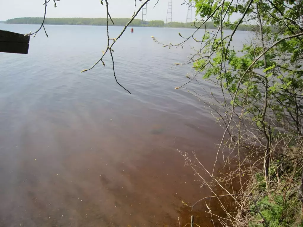 Участок в Тверская область, Конаково Волга-1 СНТ,  (21.0 сот.) - Фото 2