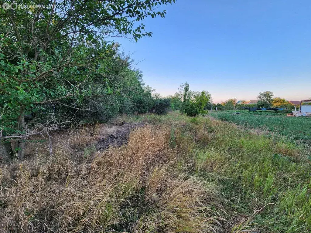 Участок в станица Переясловская, Политотдельская улица, 21 (10 м) - Фото 1