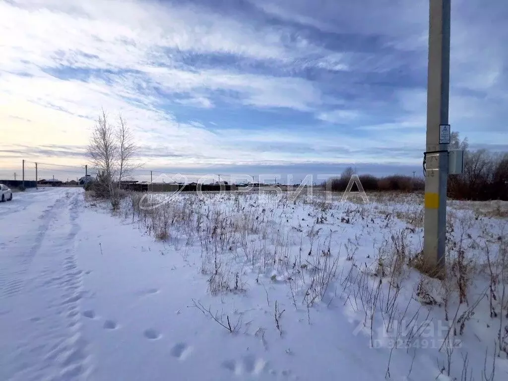 Участок в Тюменская область, Тюменский муниципальный округ, д. Елань, ... - Фото 2
