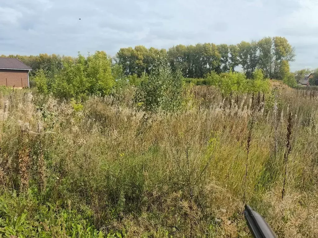 Участок в Новосибирская область, Новосибирский район, Морской ... - Фото 2