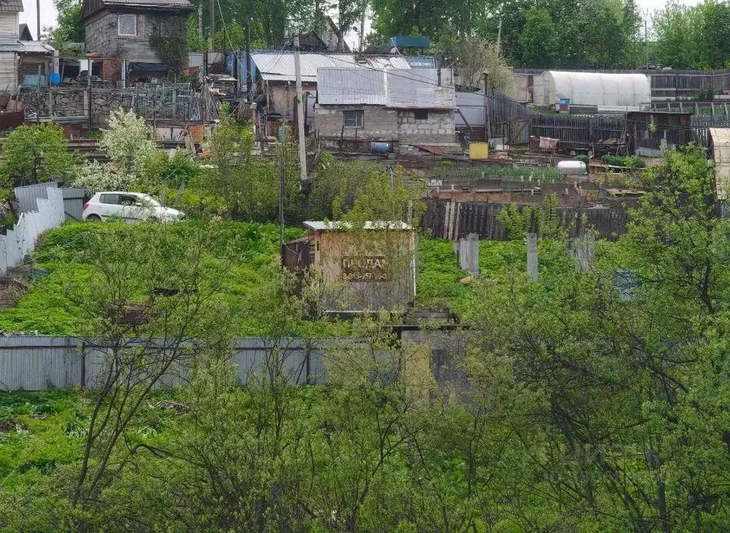 Участок в Новосибирская область, Новосибирский район, Раздольненский ... - Фото 1