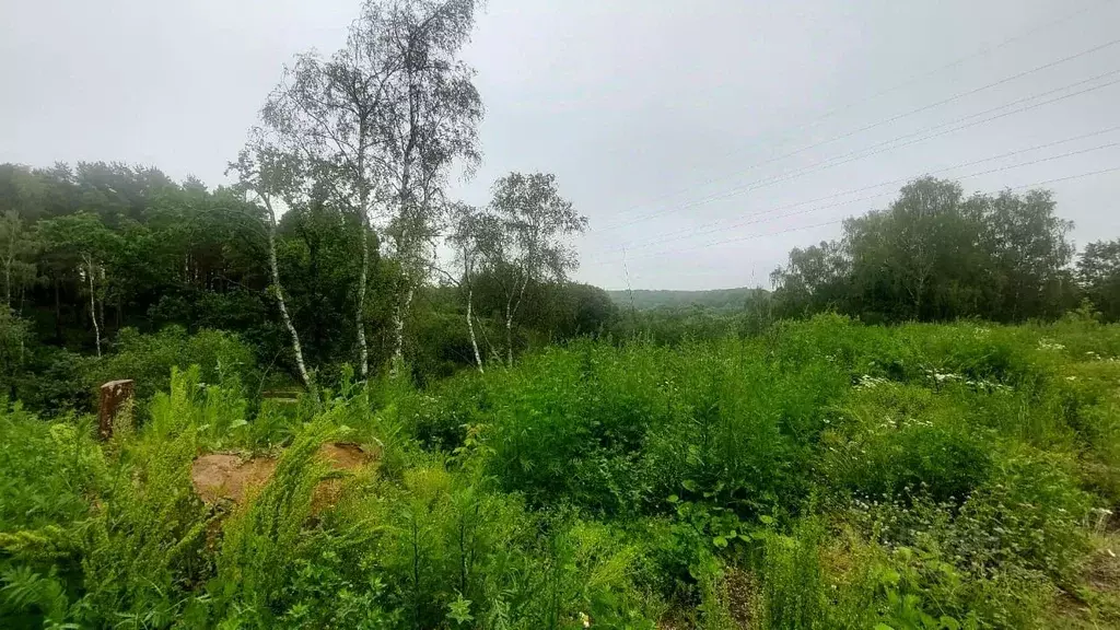 Участок в Владимирская область, Александров пер. Искателей, 12 (5.2 ... - Фото 1