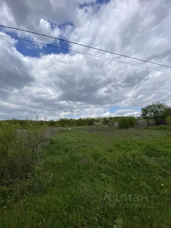 Участок в Воронежская область, Рамонский район, с. Русская Гвоздевка ... - Фото 0