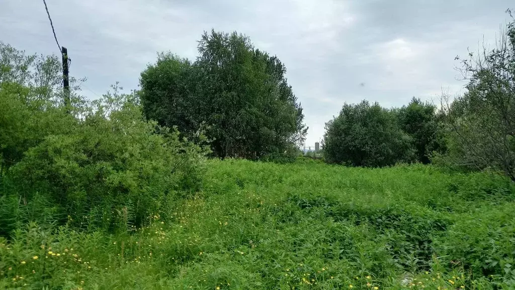 Участок в Мурманская область, Кольский район, Пушной с/пос, Тайбола ... - Фото 1