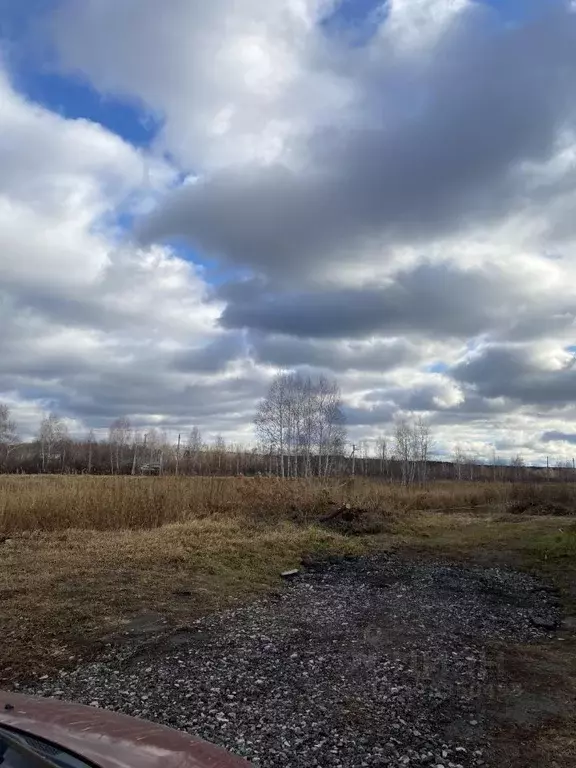 Участок в Курганская область, Кетовский муниципальный округ, с. ... - Фото 1