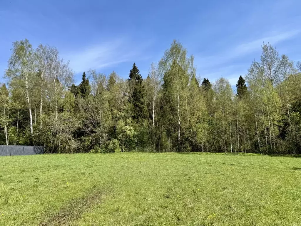 Участок в Московская область, Мытищи городской округ, д. Шолохово 90 ... - Фото 2