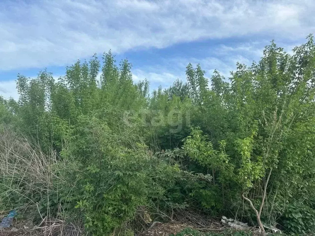 Участок в Тульская область, Узловский район, Шахтерское с/пос, с. ... - Фото 1