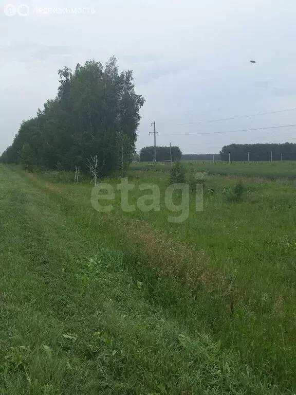 Участок в Омское сельское поселение, деревня Березянка, Лесная улица ... - Фото 1
