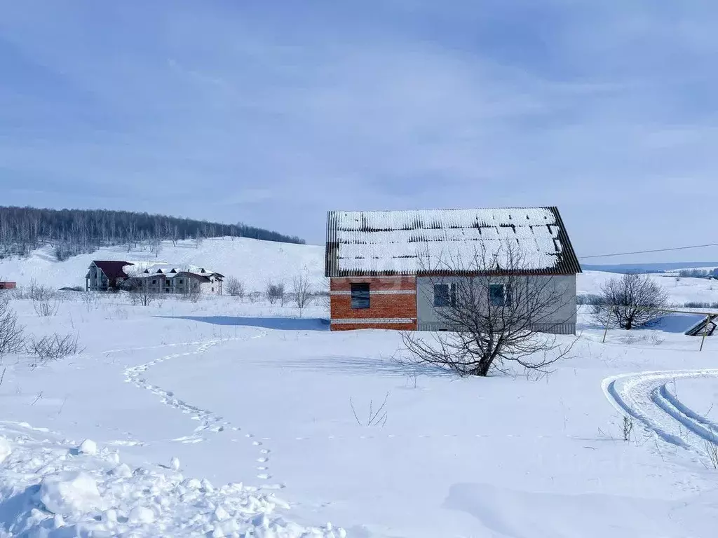 Участок в Мордовия, Саранск городской округ, с. Напольная Тавла ул. ... - Фото 1