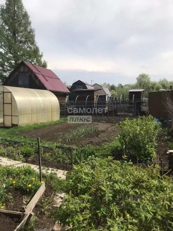 Дом в Новосибирская область, Мошковский район, Кедр СНТ ул. ... - Фото 0