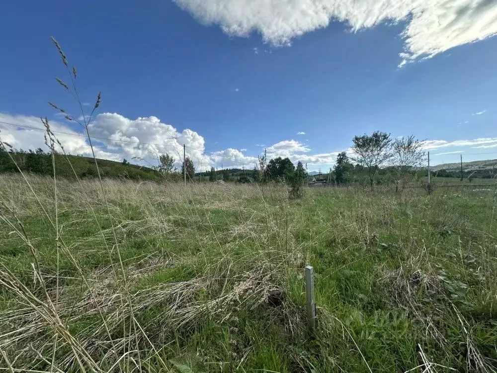 Участок в Хакасия, Саяногорск Саяногорск городской округ, ул. Тенистая ... - Фото 1