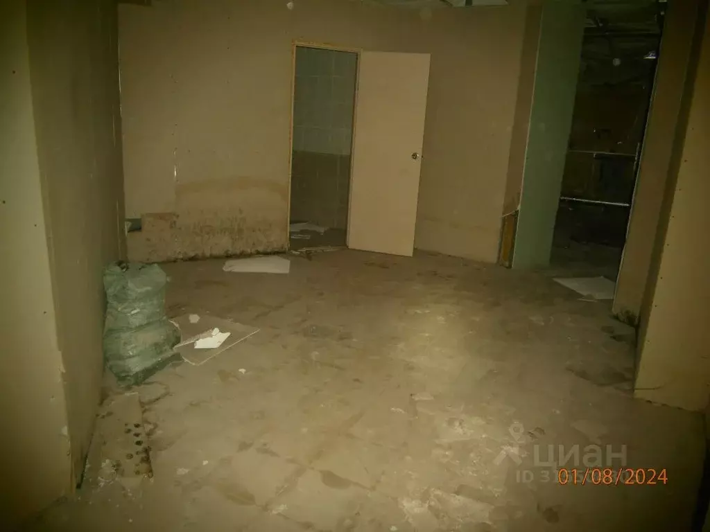 Помещение свободного назначения в Новосибирская область, Новосибирск ... - Фото 1