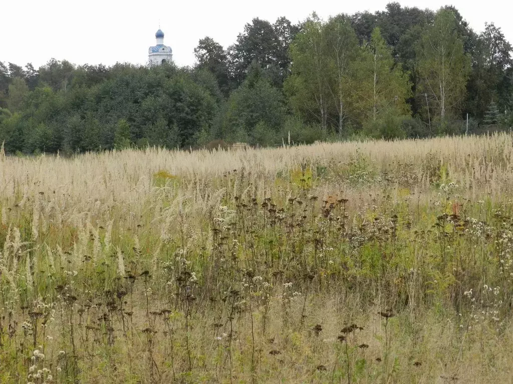 Участок в Московская область, Орехово-Зуевский городской округ, д. ... - Фото 2
