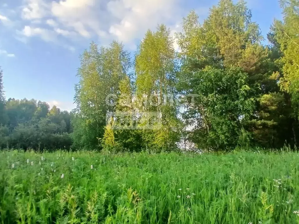 Участок в Свердловская область, Ревда  (15.0 сот.) - Фото 1