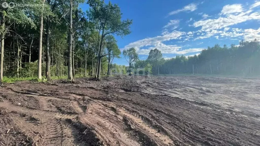 Участок в село Елховка, Приозёрная улица (6.9 м) - Фото 1