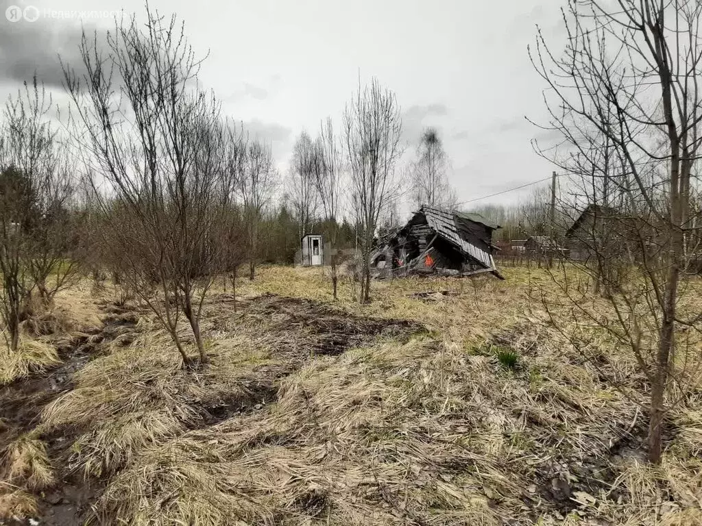 Участок в Морозовское городское поселение, садоводческое ... - Фото 1