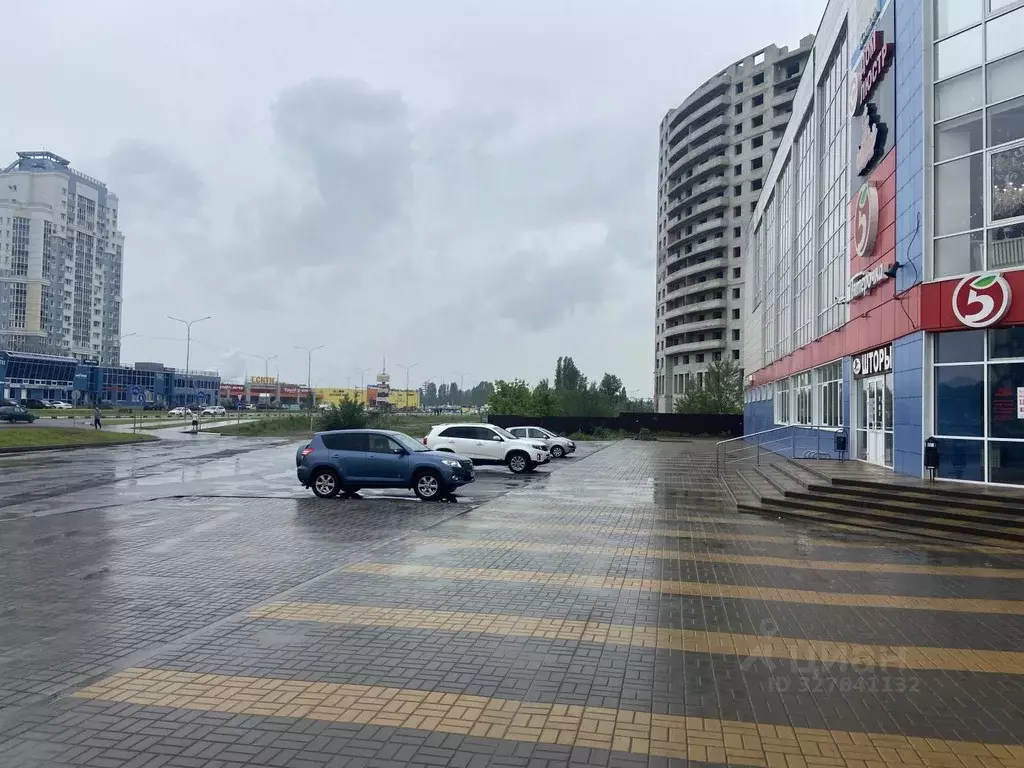 Помещение свободного назначения в Липецкая область, Липецк ул. 50 лет ... - Фото 1