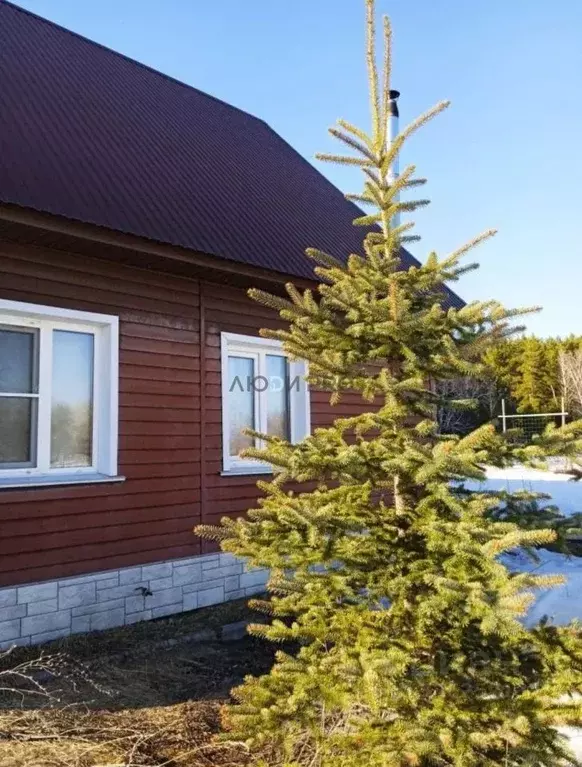 Дом в Алтайский край, Тальменский район, с. Усть-Чумыш Боровая ул., 12 ... - Фото 1