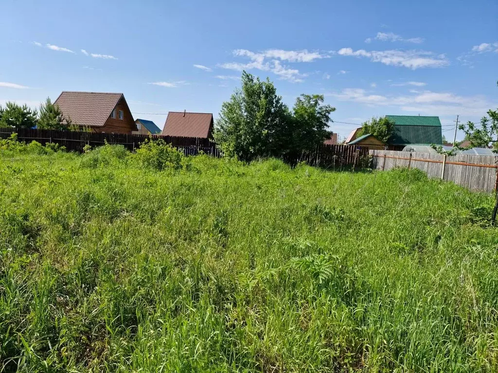 Участок в Новосибирская область, Колыванский район, Север ТСН  (8.0 ... - Фото 1