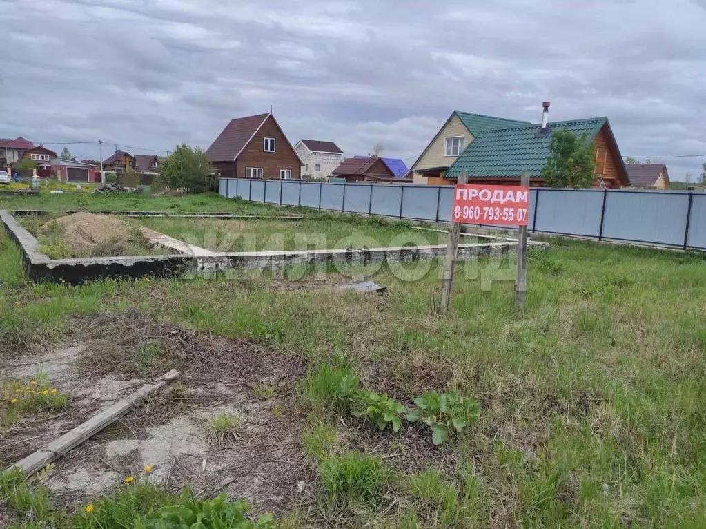 Участок в Новосибирская область, Новосибирский район, Кубовинский ... - Фото 0
