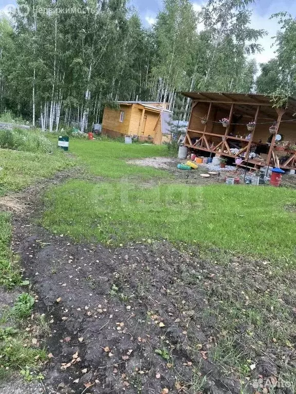 Участок в Станционный сельсовет, садоводческое некоммерческое ... - Фото 2