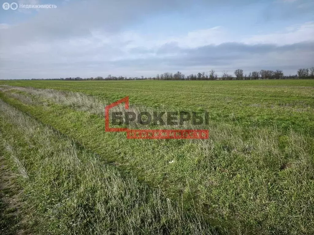 Участок в Сакский район, Ивановское сельское поселение, село ... - Фото 1