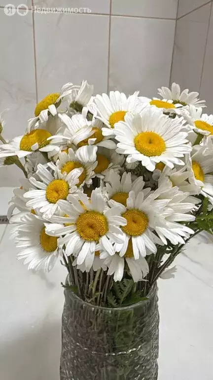 Участок в Тульская область, городской округ Тула, деревня Частинские ... - Фото 2