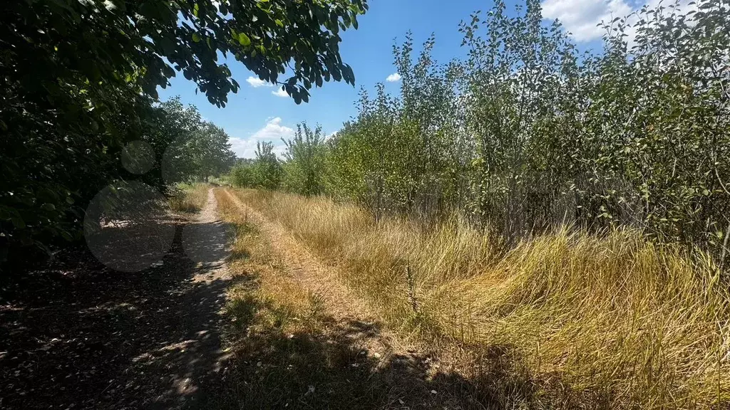 Участок 5 сот. (СНТ, ДНП) - Фото 0