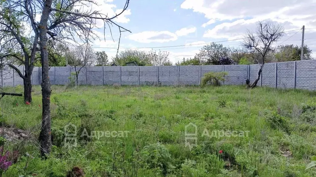 Участок в Волгоградская область, Волгоград Дзержинец СНТ, Винновский ... - Фото 0