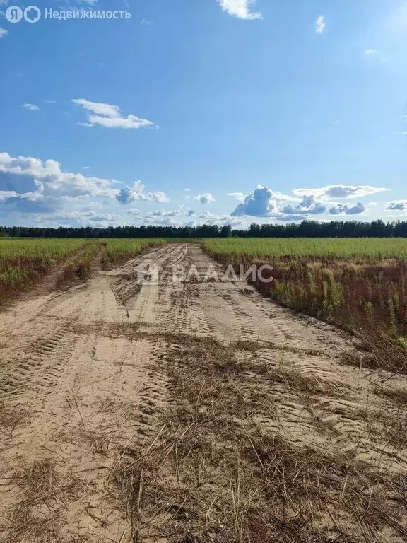 Участок в Нижегородская область, Городецкий муниципальный округ, ... - Фото 1
