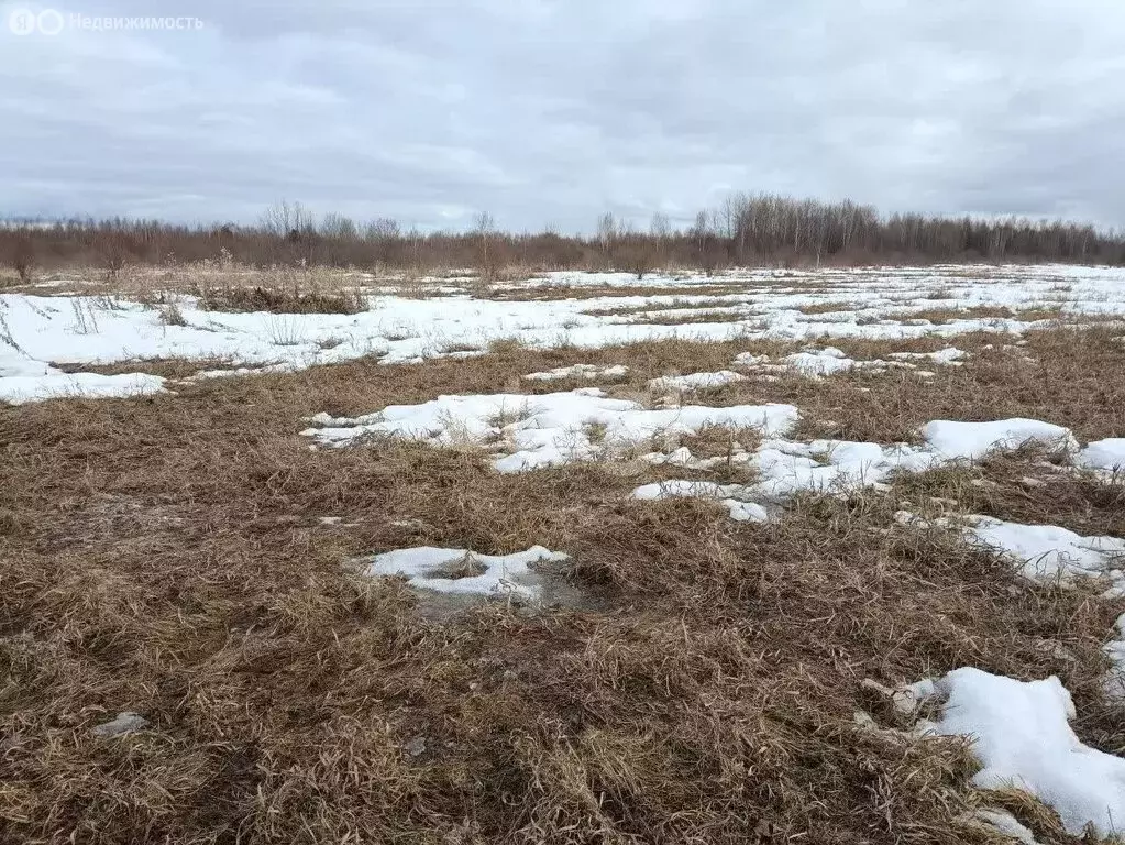 Участок в Тюменская область, Тобольский муниципальный округ, деревня ... - Фото 2