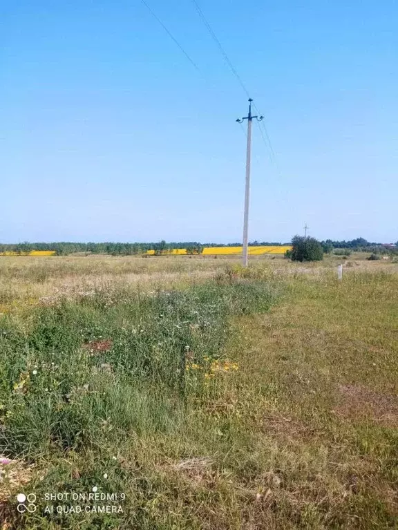 Участок в Воронежская область, Новоусманский район, с. Орлово ... - Фото 0