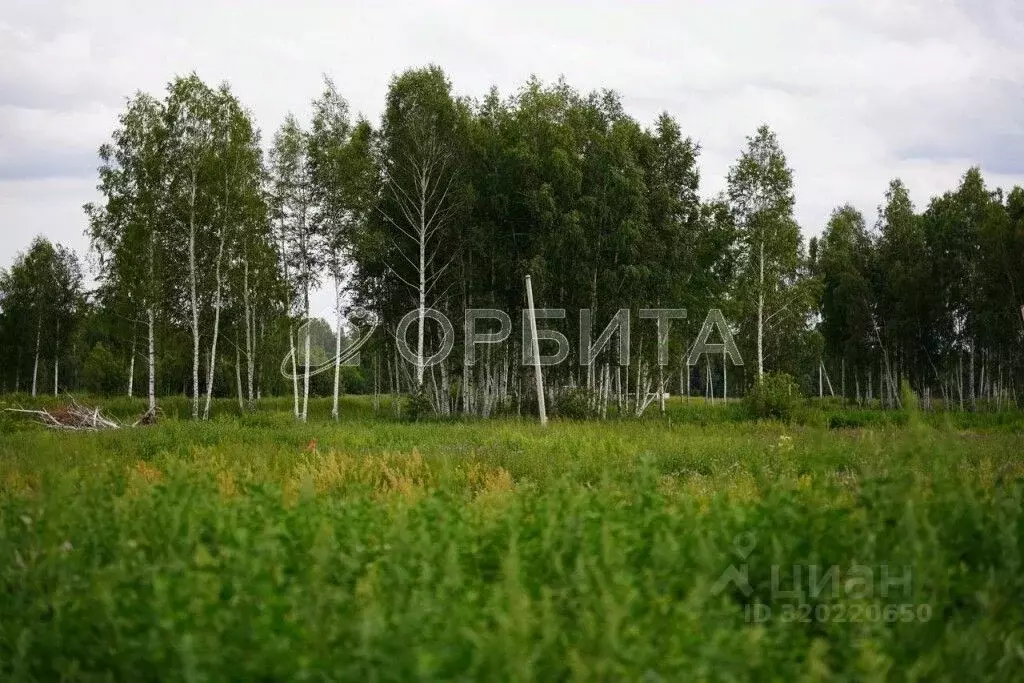 Участок в Тюменская область, Нижнетавдинский район, Геолог-2 СНТ  ... - Фото 0