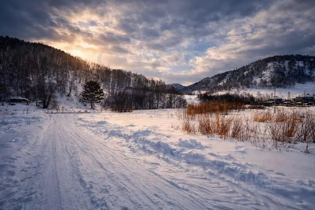 Участок в Алтай, Майминский район, с. Бирюля ул. Молодежная (6.5 сот.) - Фото 0