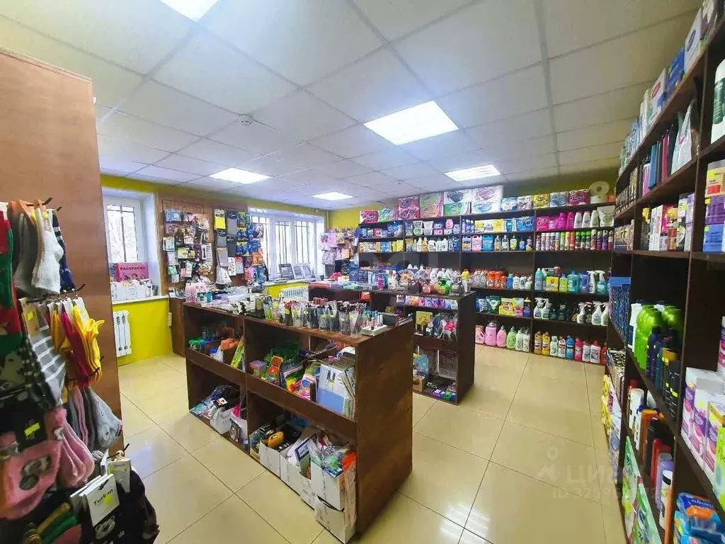 Торговая площадь в Камчатский край, Елизово ул. Ленина, 36 (57 м) - Фото 1