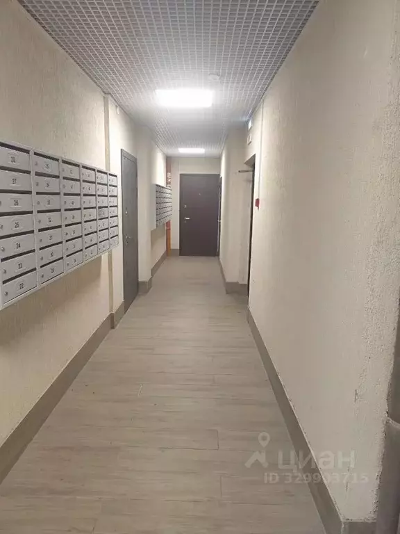 Студия Курская область, Курск просп. Вячеслава Клыкова, 9Б (27.0 м) - Фото 2
