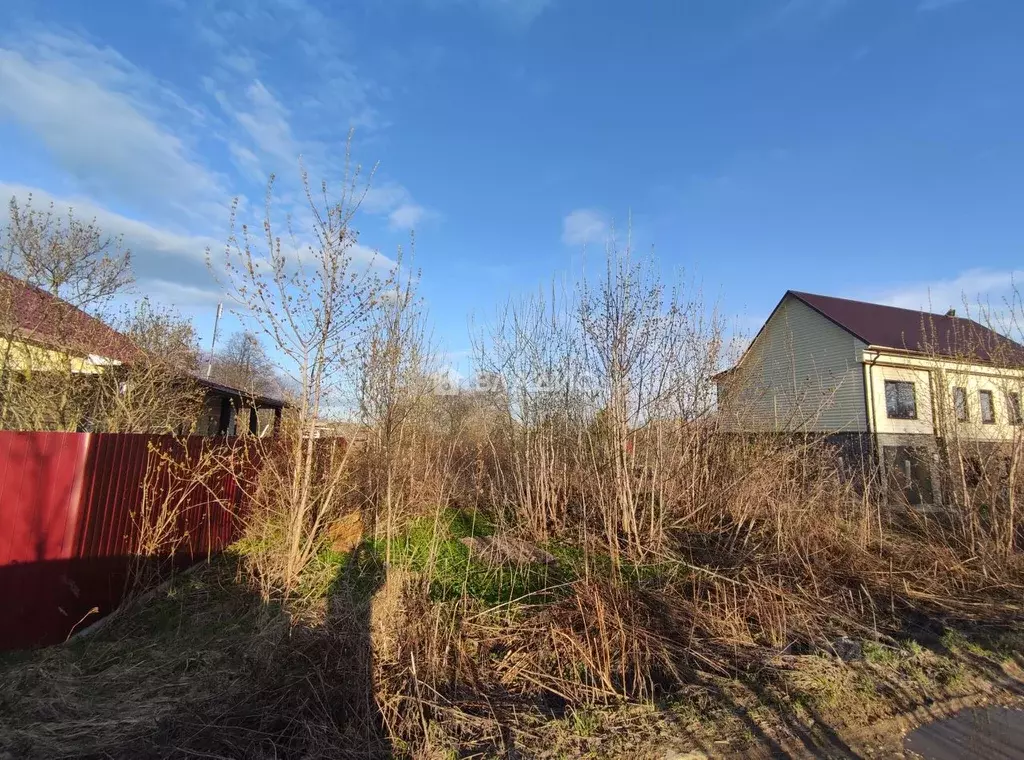 Участок в Владимирская область, Камешковский муниципальный округ, с. ... - Фото 2