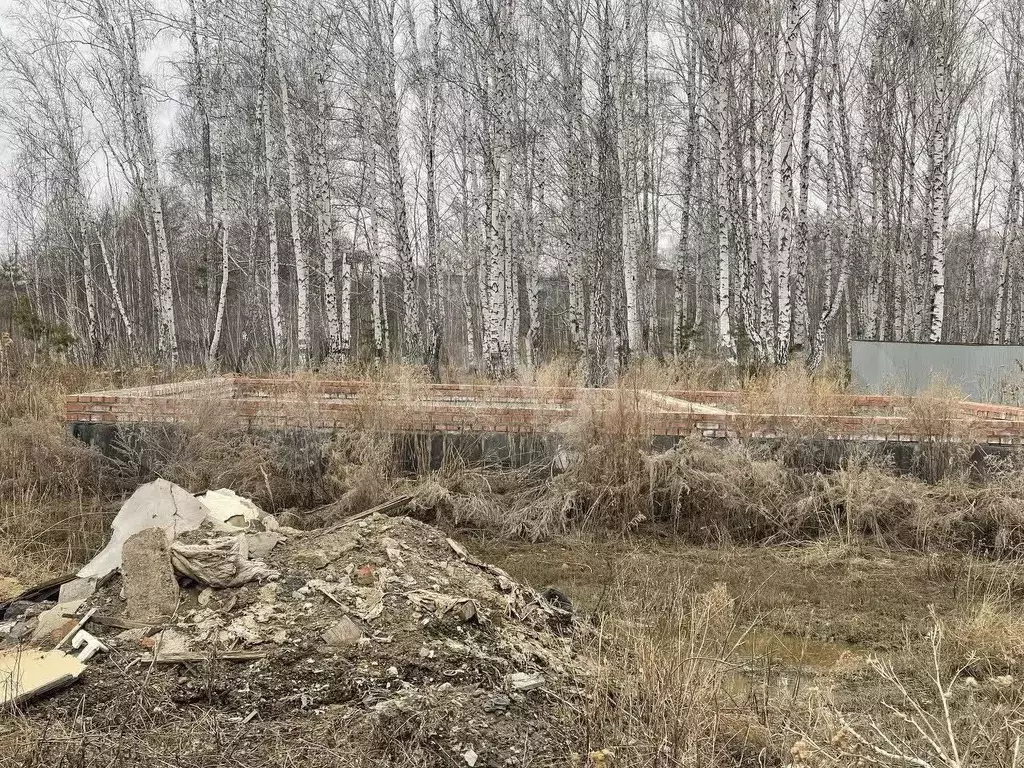 Участок 11,7 сот. (ИЖС) - Фото 1