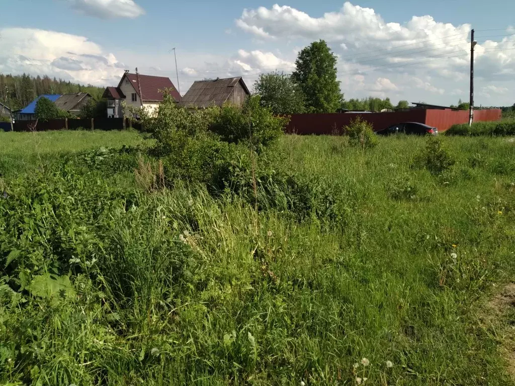 Участок в Московская область, Наро-Фоминский городской округ, д. ... - Фото 1